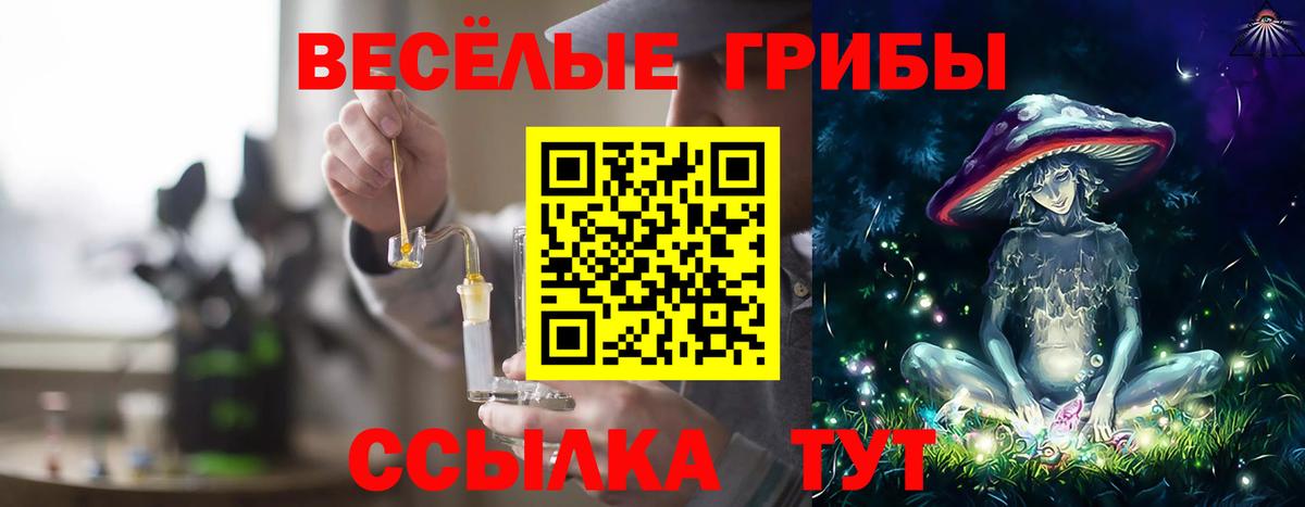 Галлюциногенные грибы Magic Shrooms Благовещенск